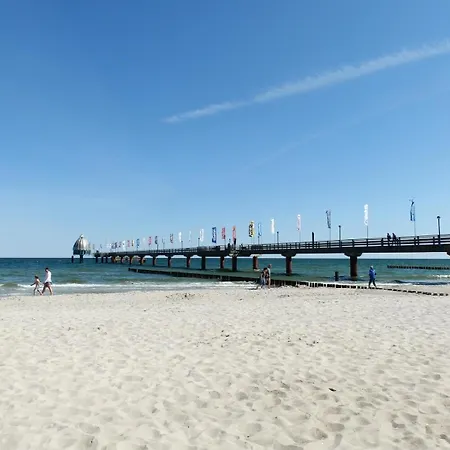 Moewennest 02 * Zingst