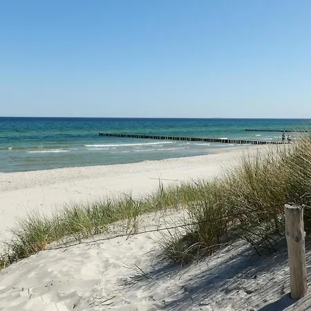 Moewennest 02 * ツィングシュト